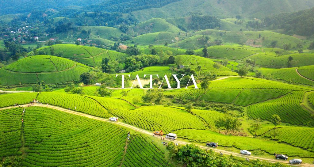 Tataya Group chung tay vì nền nông nghiệp xanh và bền vững