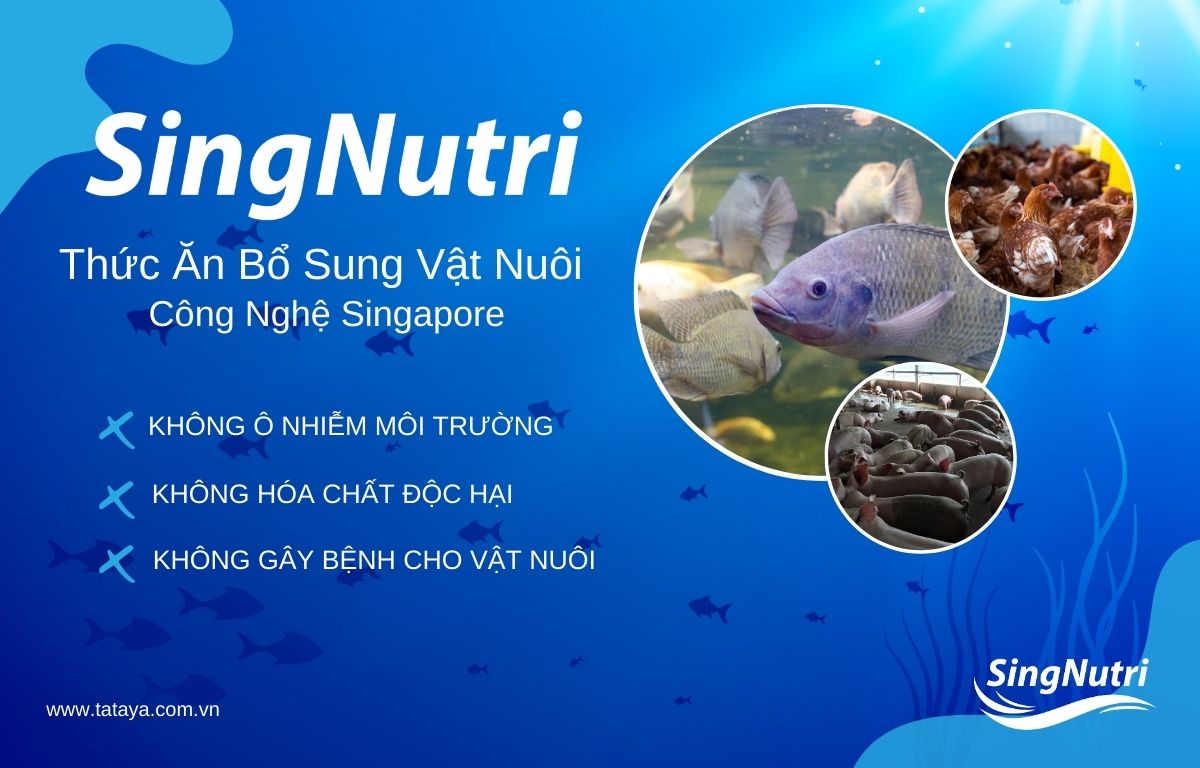 Sing-nutri-thuc-an-nuoi-trong-thuy-san