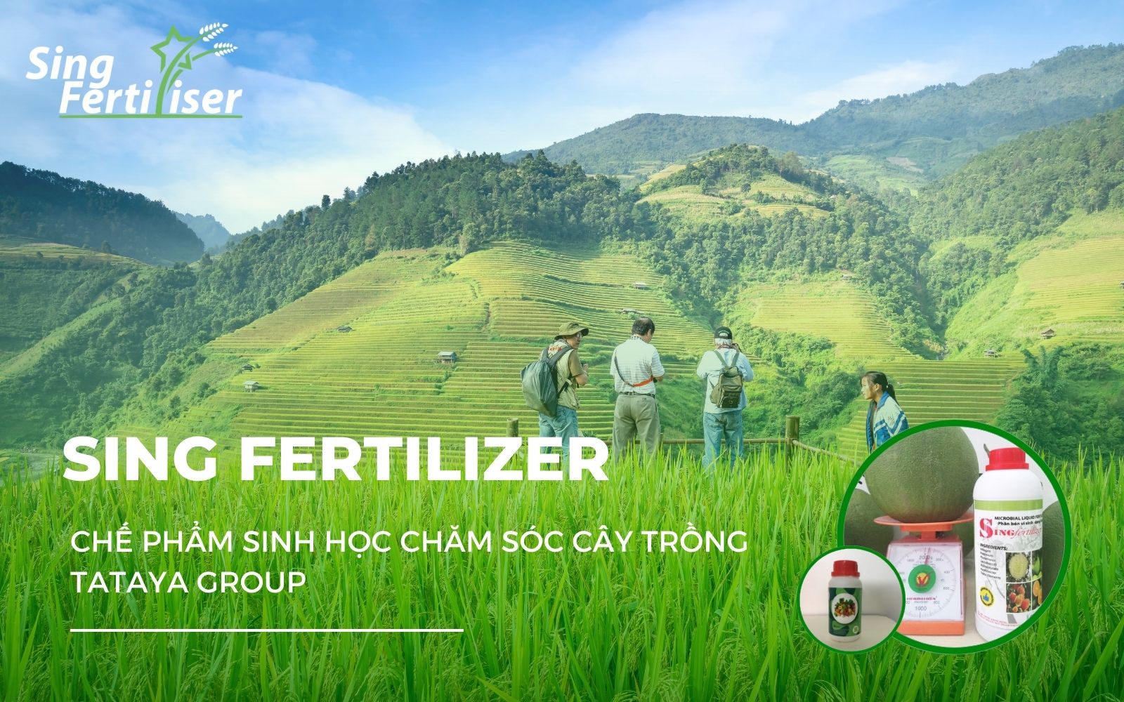 phan-bon-sinh-hoc-sing-fertilizer